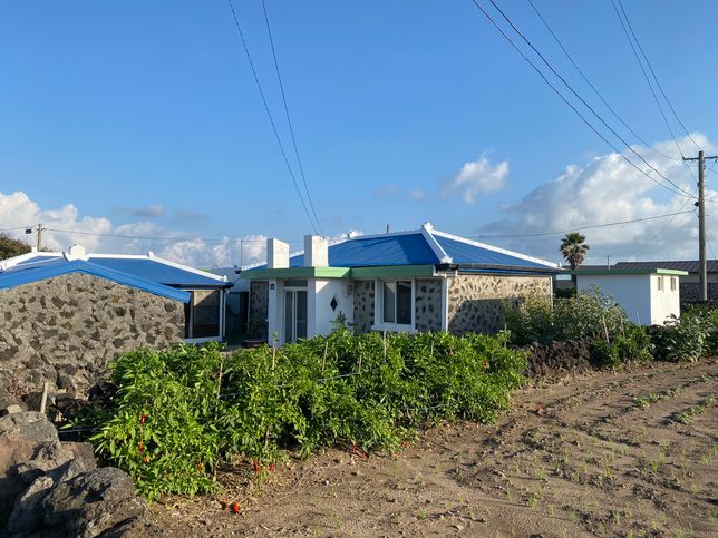 제주도 주택 중에 현관부분에 양 옆으로 기둥 같은 것이 올라와 있는 건 뭔가요?의 0번 째 이미지