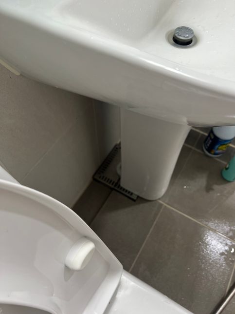 화장실 배수구 청소 관련하여 궁금한 점이 있습니다.의 0번 째 이미지