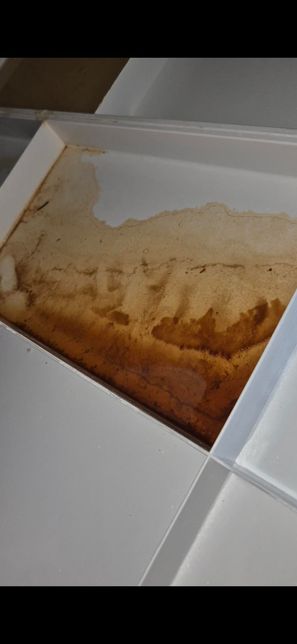 화장실 천장 윗집에서 누수인지 봐주세요의 1번 째 이미지