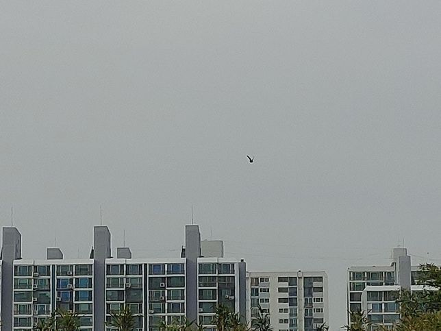 회사에서 한 직원이 몇년동안 오래 근무를 하면 얼마나 유지가 잘 되나요?의 0번 째 이미지