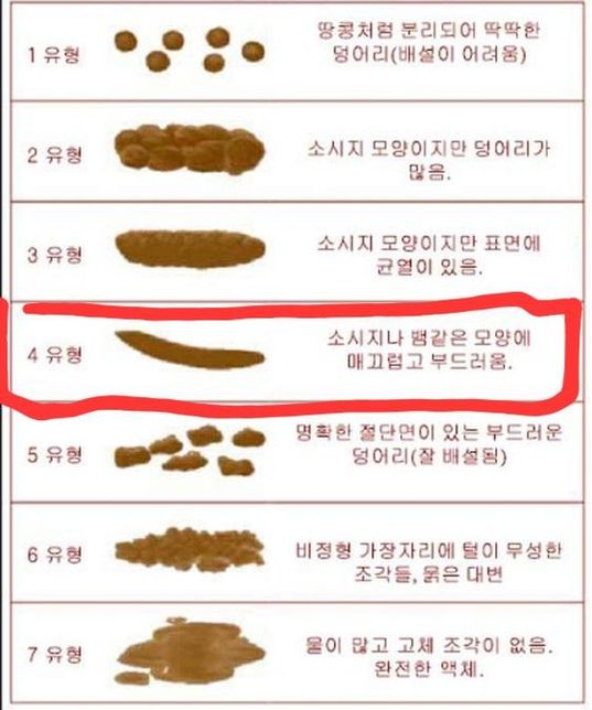 집고양이가 갑자기 무른 변을 봤어요..의 0번 째 이미지