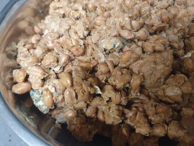 청국장에 곰팡이 먹어도 이상 없을까요?의 0번 째 이미지