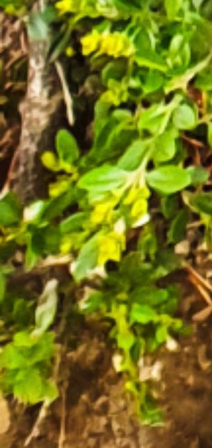 Ipdisk 원본파일로 저장 어떻게하나요?의 1번 째 이미지