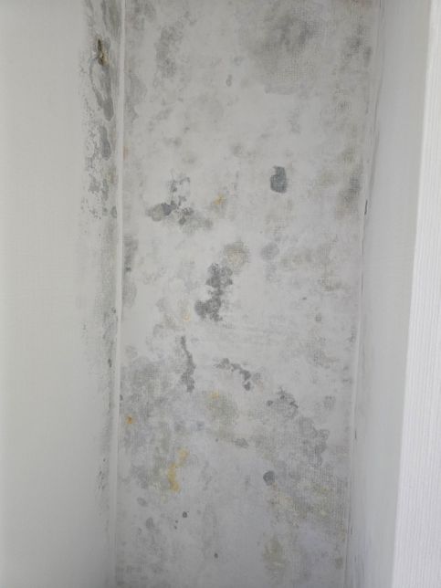 누수피해로 인한 벽지상태가 궁금합니다.의 2번 째 이미지