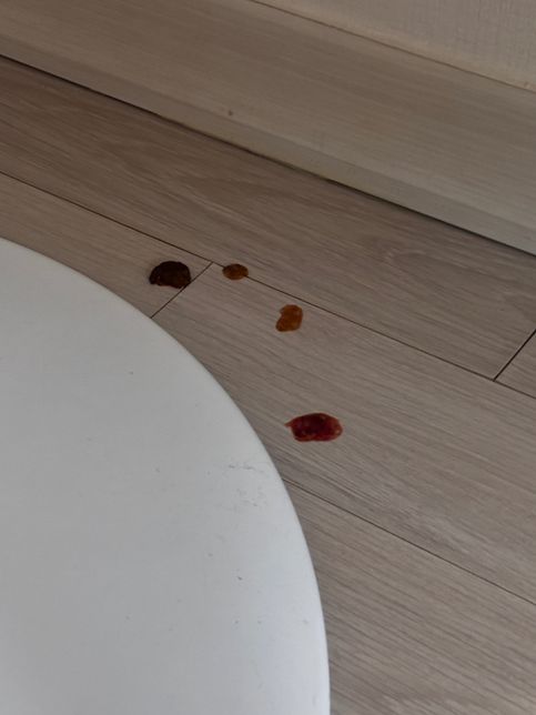 강아지 설사, 혈변을 누고 무기력해 해요의 1번 째 이미지