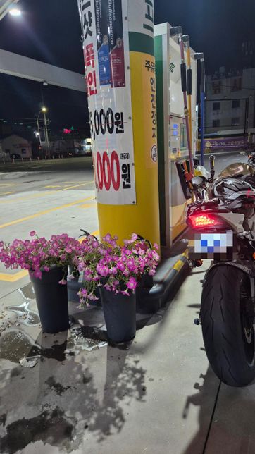 주유소에서 꽃화분에 넘어짐 사고??의 0번 째 이미지