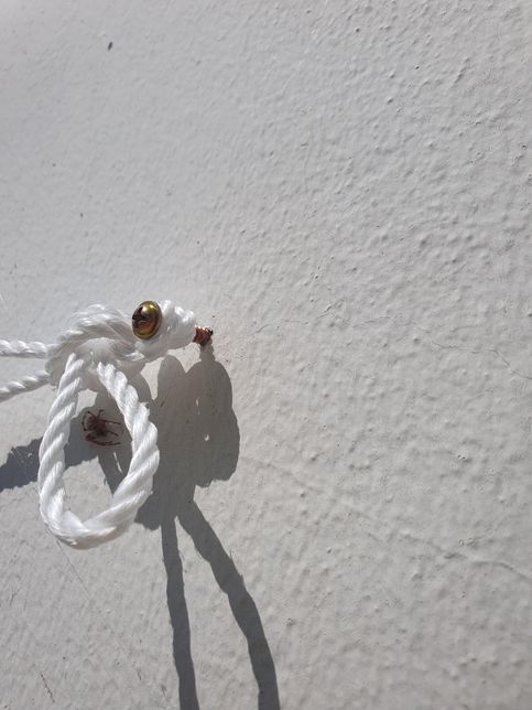 누군가 남에집 벽에 구멍을 뚧었어요 대처법은?의 0번 째 이미지