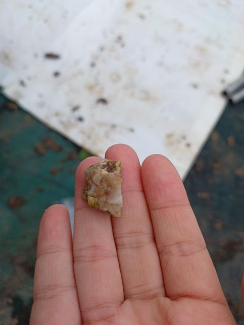 할머니 밭에서 이상하고 예쁜 돌을 주웠어요의 2번 째 이미지