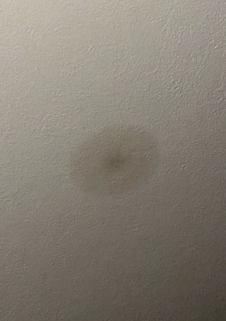 벽지 물얼룩 자국 임차인 변상 문의 드립니다의 0번 째 이미지