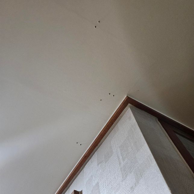 윗집에서 공사한다고 바닥에 구멍을 뚫었습니다의 0번 째 이미지