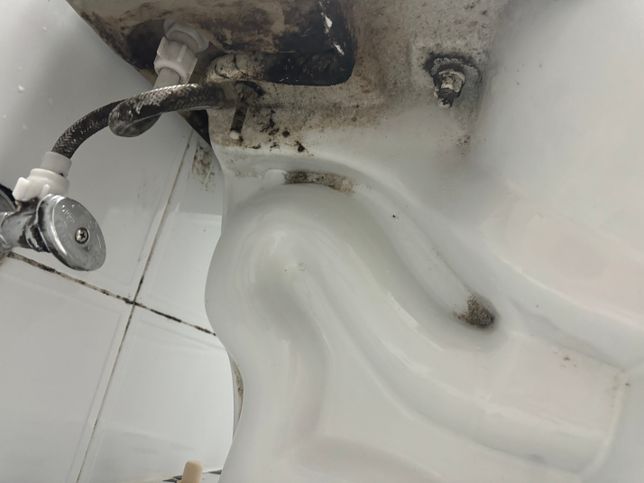 변기 곰팡이?녹?흙?벌레? 이거뭔가요의 0번 째 이미지