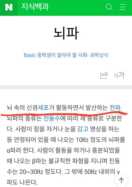 뇌파는 전파인가요?아니면 둘은 엄연히 다른가요?의 0번 째 이미지