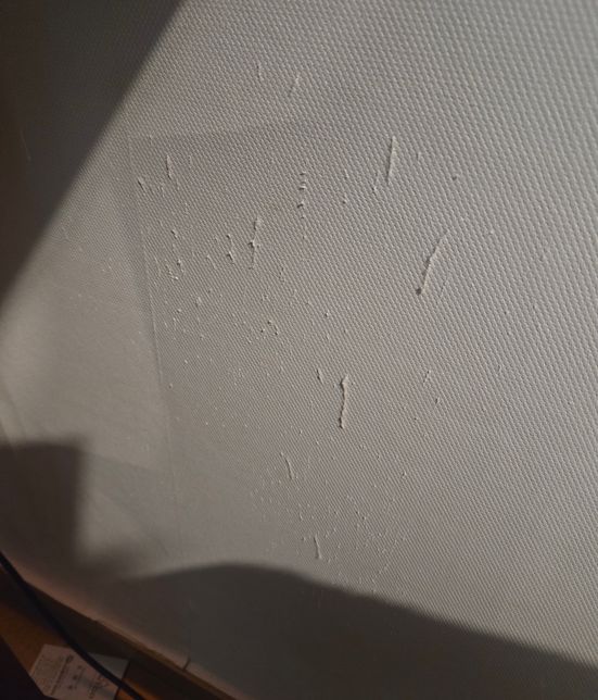 고양이들이 벽지를 뜯어서 새로 하는게 젛을지 부분 적으로 가능 할지 궁굼합니다의 0번 째 이미지