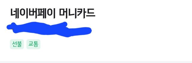 네이버페이 머니카드 교통카드 기능 여부의 0번 째 이미지