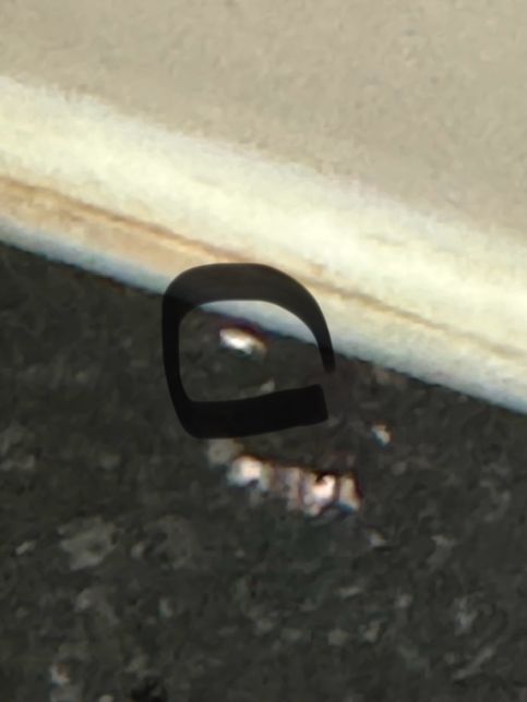 요근래 화장실에 아주 작고 실처럼 생긴게 기어다는데 무슨 벌레일까요?? 사진있음의 1번 째 이미지