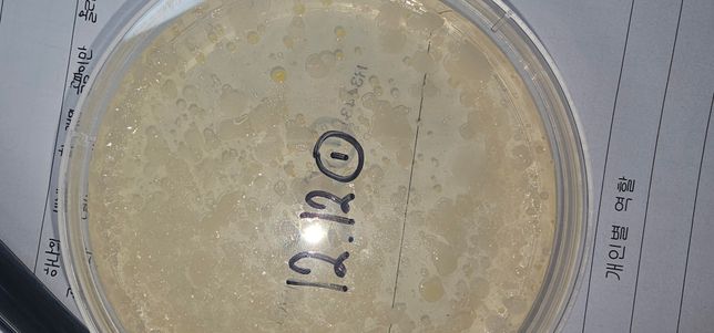 미생물 플라스틱 분해 실험 결과에서 곰팡이가 올라왔는데 얘는 무슨 역할인가요?의 1번 째 이미지