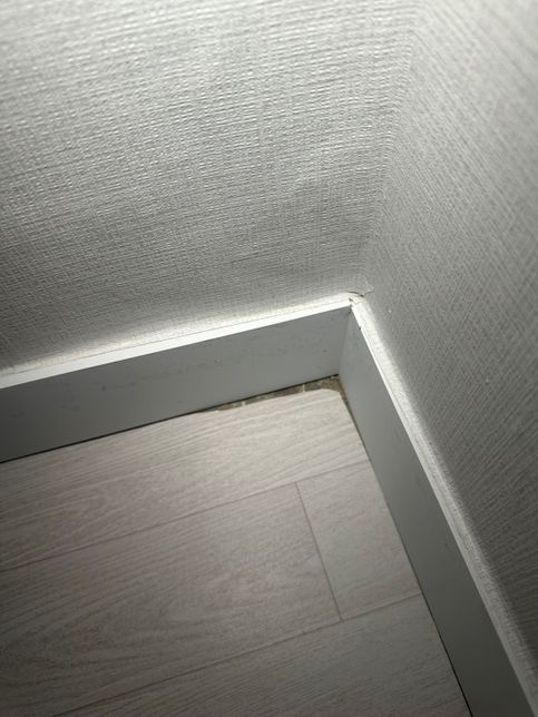 리모델링 중인데 한번만 봐주세요….의 0번 째 이미지