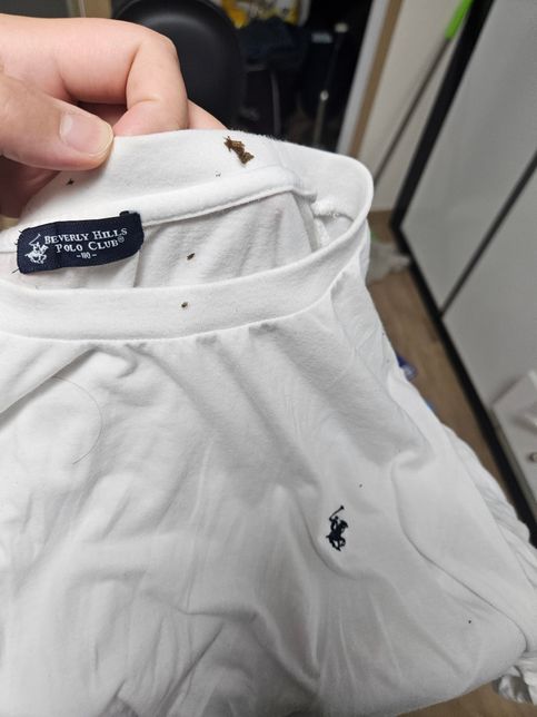 통돌이 세탁기 청소 관련해서 집주인과 분쟁의 2번 째 이미지