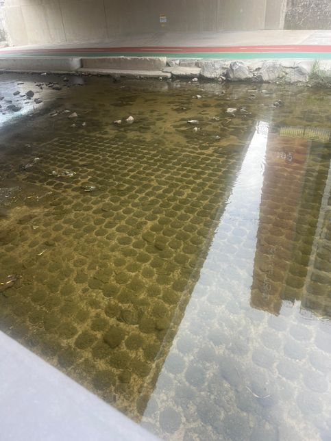 개천 다리 밑에 촘촘한 돌이 있는데 이거 있는 의도가 뭘까요의 0번 째 이미지