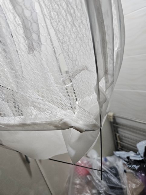 고양이 관한 질문입니다. 너무 부정적으로 읽어주시 않으면 좋겠습니다.의 1번 째 이미지