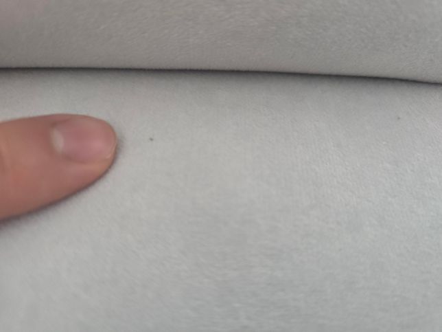 패브릭 조야 소파에서 작은 벌레가 발견되었어요.의 0번 째 이미지