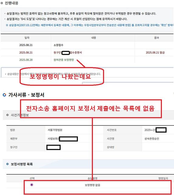 (전자)한정승인 보정명령이 있는데 보정명령 등본이 없는경우?의 0번 째 이미지