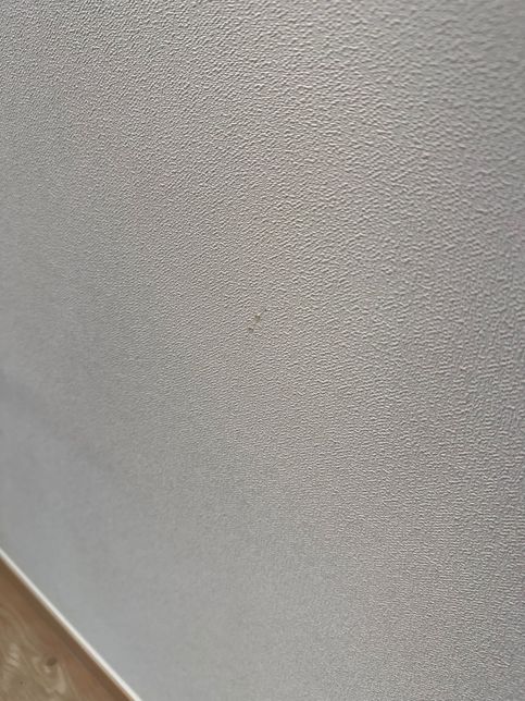 벽지에 스크래치 이거 제가 물어줘야 하나요??의 1번 째 이미지