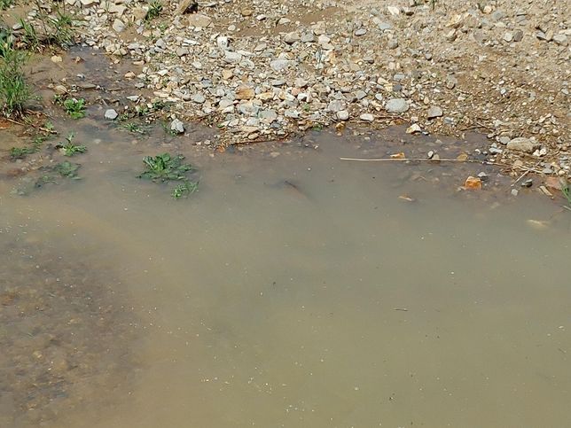 2020년 이후로 왜 우리나라에 점점 비가 많이 오게 되었나요?의 2번 째 이미지