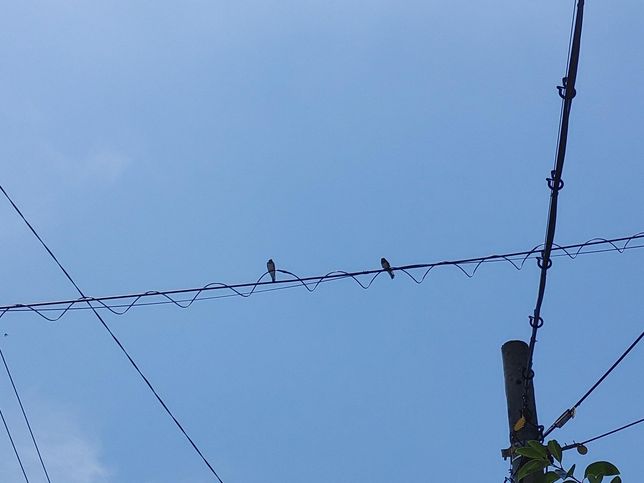 몸에 상처는 회복이 되지만 마음의 상처는 회복이 안되는 이유의 1번 째 이미지