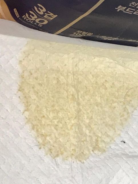 강아지 혈뇨의 원인이 신장결석 때문일수도 있나요?의 2번 째 이미지