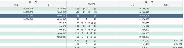 종소세 신고중으로 현금이 너무 적고 자본금이 너무 많으면의 0번 째 이미지