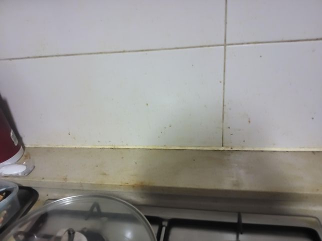 주방 가스레인지 쪽에 기름때가 안닦이는데 어떻게 청소하면되나요 청소업체를 불러야 할까요?의 1번 째 이미지