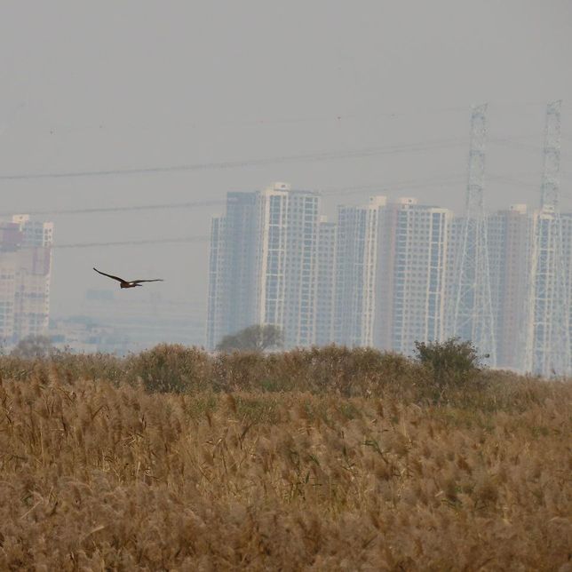 2025년 10월 말 새벽에 비가 그치고 11월 초에 왜 갑자기 추워졌어요?의 2번 째 이미지