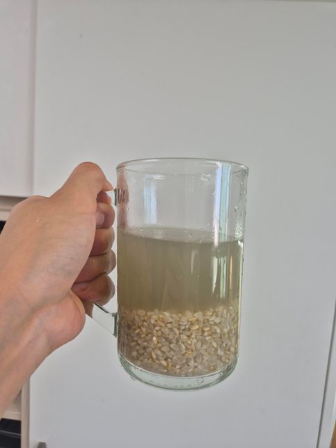 7분도 쌀 씻을 때 쌀뜨물 색이 살짝 검색입니다.의 0번 째 이미지