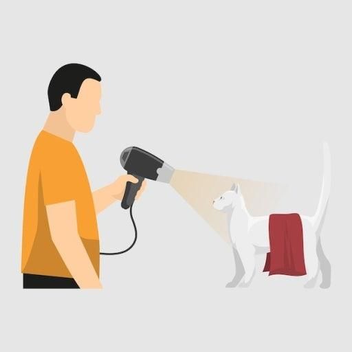 '한테' 뜻이? 뭔지알고싶습니다..의 0번 째 이미지