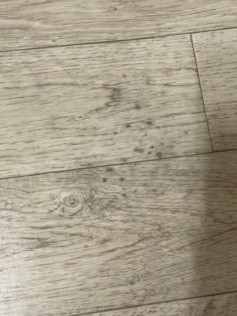 장판이 최근들어 부분적으로 변색이 됐어요의 1번 째 이미지