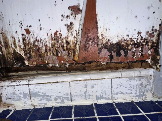 5년차 월세집 화장실 문이 부식되었습니다ㅠ의 3번 째 이미지