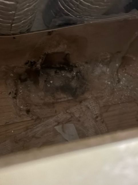 이거곰팡이인가요? 이사를왔는데 싱크대밑 하부장 안쪽을 볼일이없었는데의 1번 째 이미지