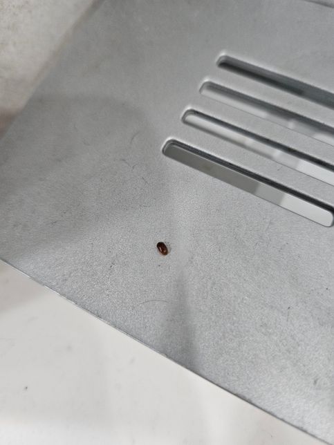 주방에 몇마리씩 보이던데 이벌레는 무슨벌레인가요?의 0번 째 이미지