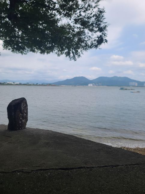 바다는 지구의 몇프로인지 궁금합니다의 0번 째 이미지