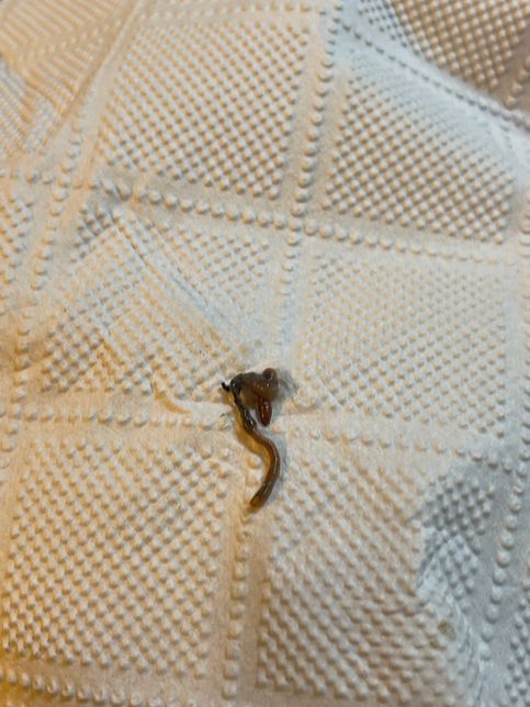 이렇게 생긴 뭔가가 바닥에 있는데 뭔가요??의 0번 째 이미지