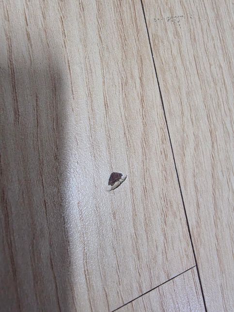 마루바닥 강화마루인지 강마루인지 모르겠어요의 2번 째 이미지