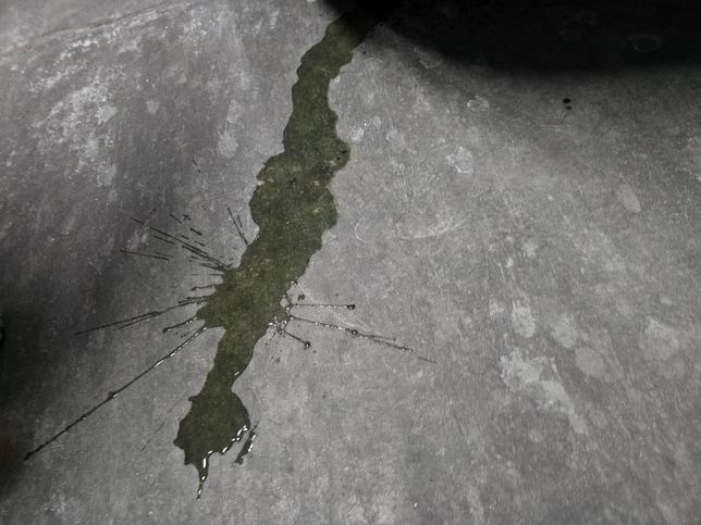 액티언 하이브리드 11월부러 장기렌트중인데..의 1번 째 이미지