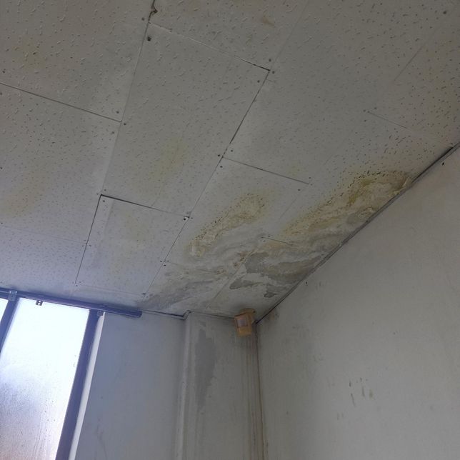 사무실 천장이 다 석면텍스인 것 같은데 어떡하죠의 0번 째 이미지