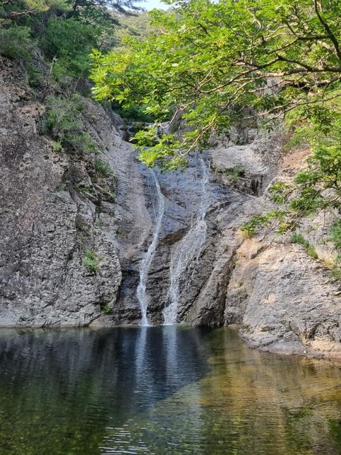 주왕산국립공원에 멸종위기 토종 야생동물을 풀어서 보호구역으로 만들면 어떨까요?의 1번 째 이미지