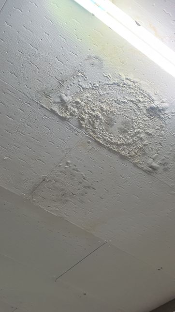 천장에 있는 텍스가 석면텍스인지 궁금합니다의 0번 째 이미지