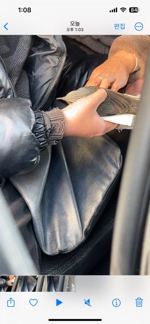 이 새가 무슨 새 일까요? 새박사님들 알려주세오의 0번 째 이미지