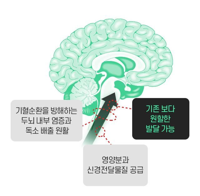 죽은 발달장애인의 몸 속에 두개골을 해부하면 뇌유전자 연구에 도움이 될까요?의 1번 째 이미지