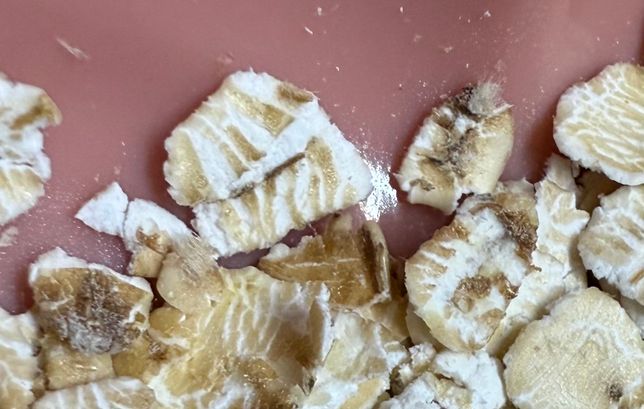 포리지오트밀에 솜털이 껍질 혹은 곰팡이인지의 1번 째 이미지