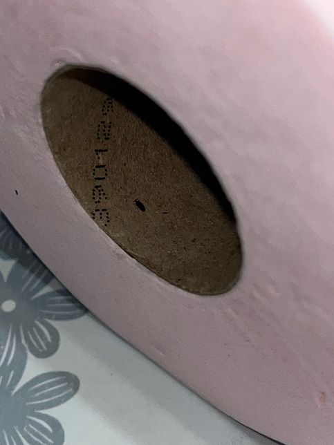 혹시 이거 새끼 바퀴벌레일까요 ???의 1번 째 이미지